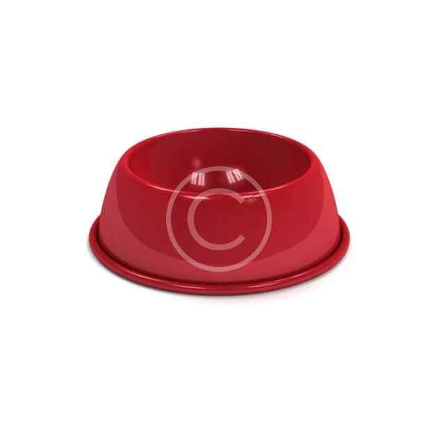 Ceramic Bowl for Cat