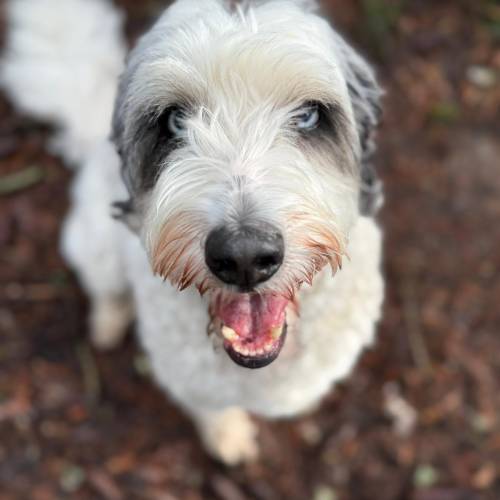 WhatsApp Image 2026-02-11 at 5.16.58 AM