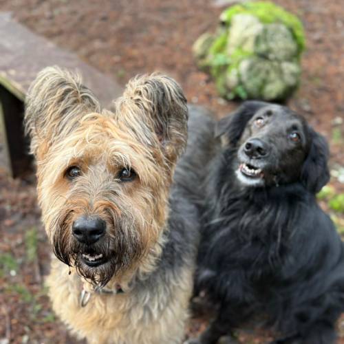 WhatsApp Image 2026-02-11 at 5.16.59 AM