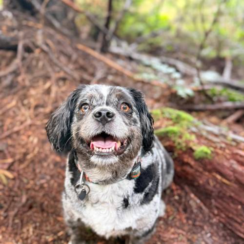 WhatsApp Image 2026-02-11 at 5.17.00 AM