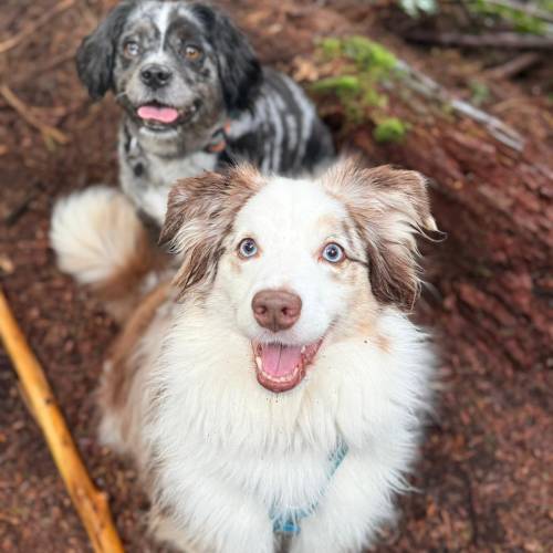 WhatsApp Image 2026-02-11 at 5.17.01 AM