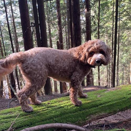 WhatsApp Image 2026-02-11 at 6.49.28 AM