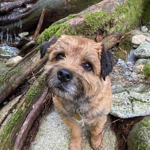 WhatsApp Image 2026-02-11 at 6.49.31 AM