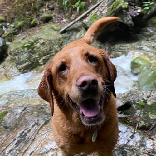 WhatsApp Image 2026-02-11 at 6.49.36 AM